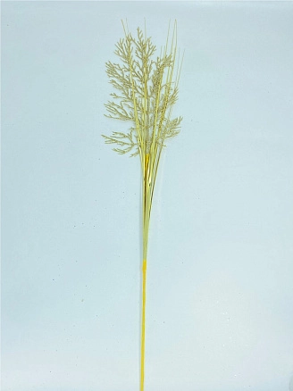 PROFZAL, Веточка для декора, F47-13